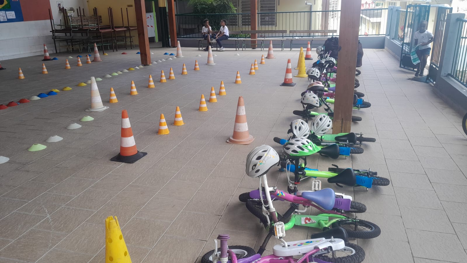 Adulte en cours de remise en selle à Baie-Mahault